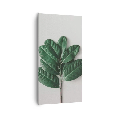 Bild auf Leinwand - Leinwandbild - Eine Zeichnung purer Natur - 65x120 cm