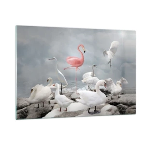 Glasbild - Bild auf glas - Ein rosa Flamingo zwischen weißen Schwänen und Reihern vor dem Wasser - 120x80cm - Wie kam ich hier hin? - Moderne Wanddekoration für Wohnzimmer und Schlafzimmer ARTTOR
