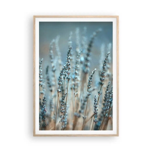 Poster in einem Rahmen aus heller Eiche - Duftendes Kornfeld - 70x100 cm