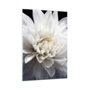 Glasbild - Bild auf glas - Eine Nahaufnahme einer weißen Dahlie auf einem schwarz-grauen Hintergrund - 50x70cm - Der Morgen der Braut - Moderne Wanddekoration für Wohnzimmer und Schlafzimmer ARTTOR