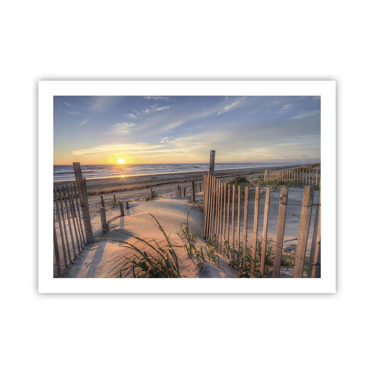 Poster - Schein und Schatten des Windes - 70x50 cm