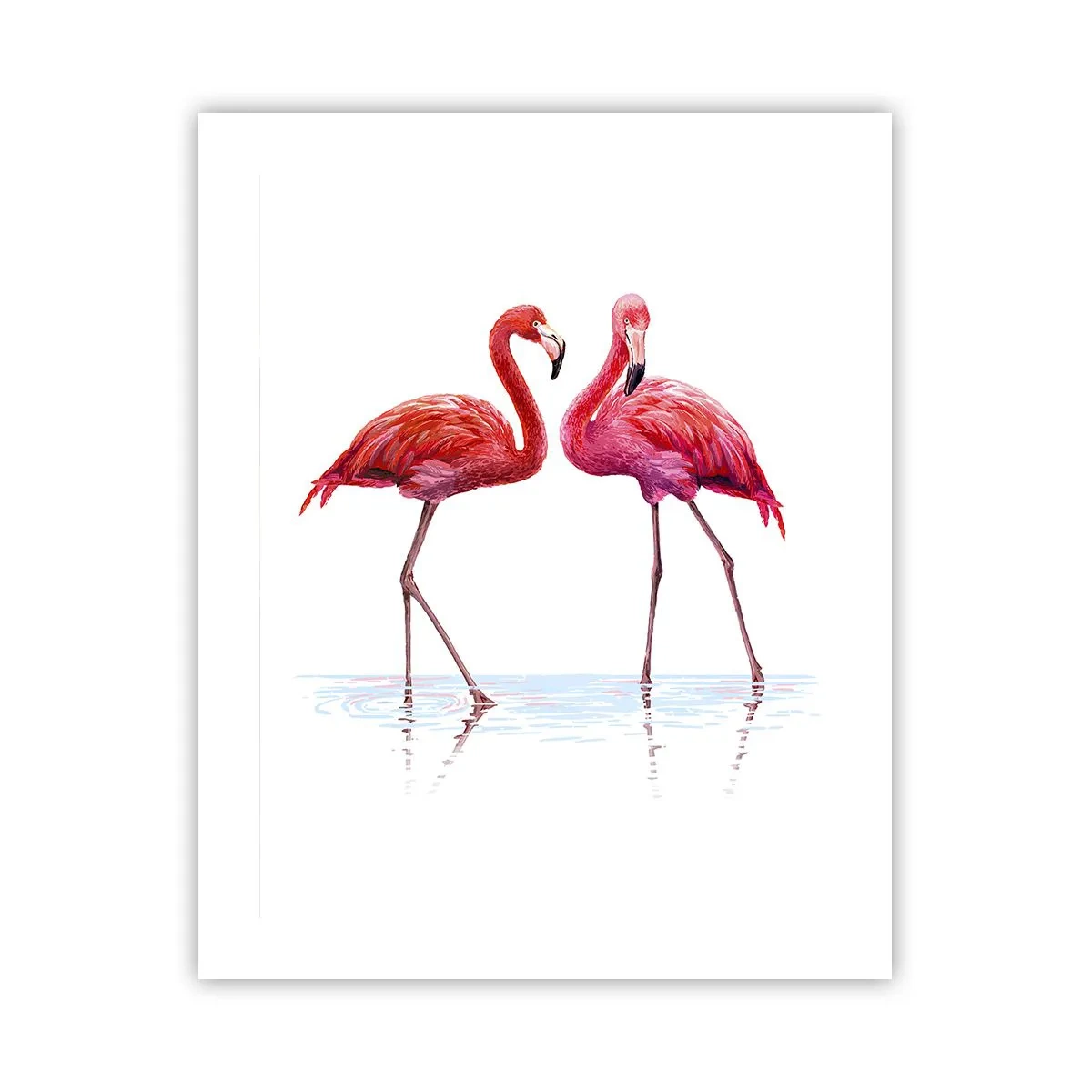 Poster - Rosa randez-vous - 40x50 cm