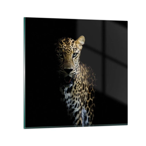 Glasbild - Bild auf glas - Dunkle Schönheit - 60x60 cm