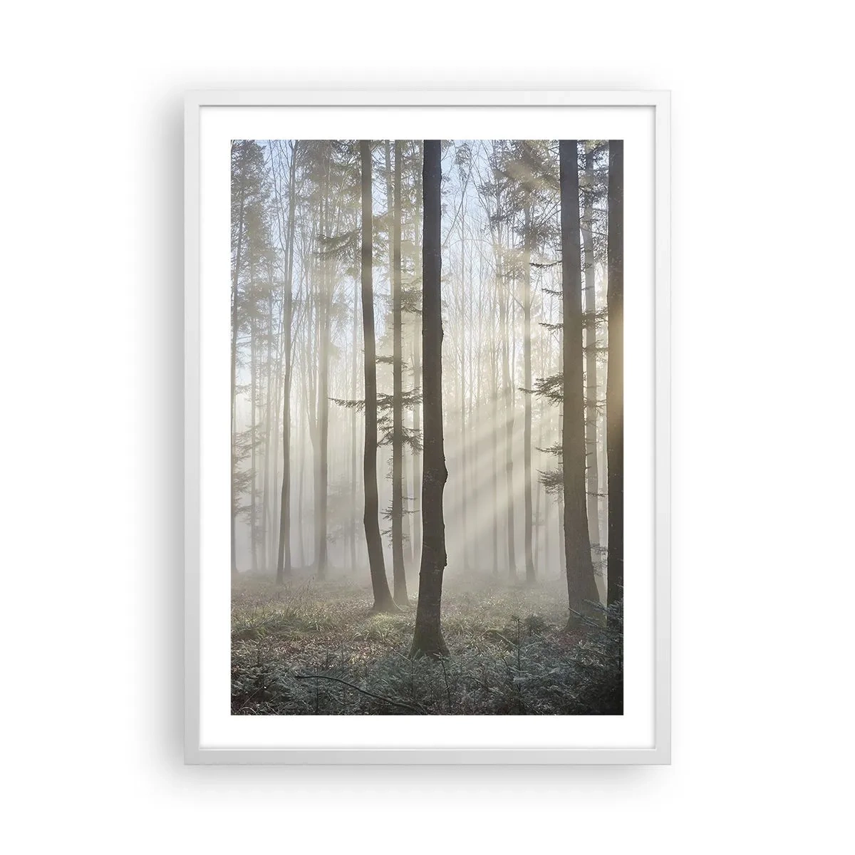 Poster in einem weißen Rahmen - Der Nebel ist auch aufgewacht - 50x70 cm