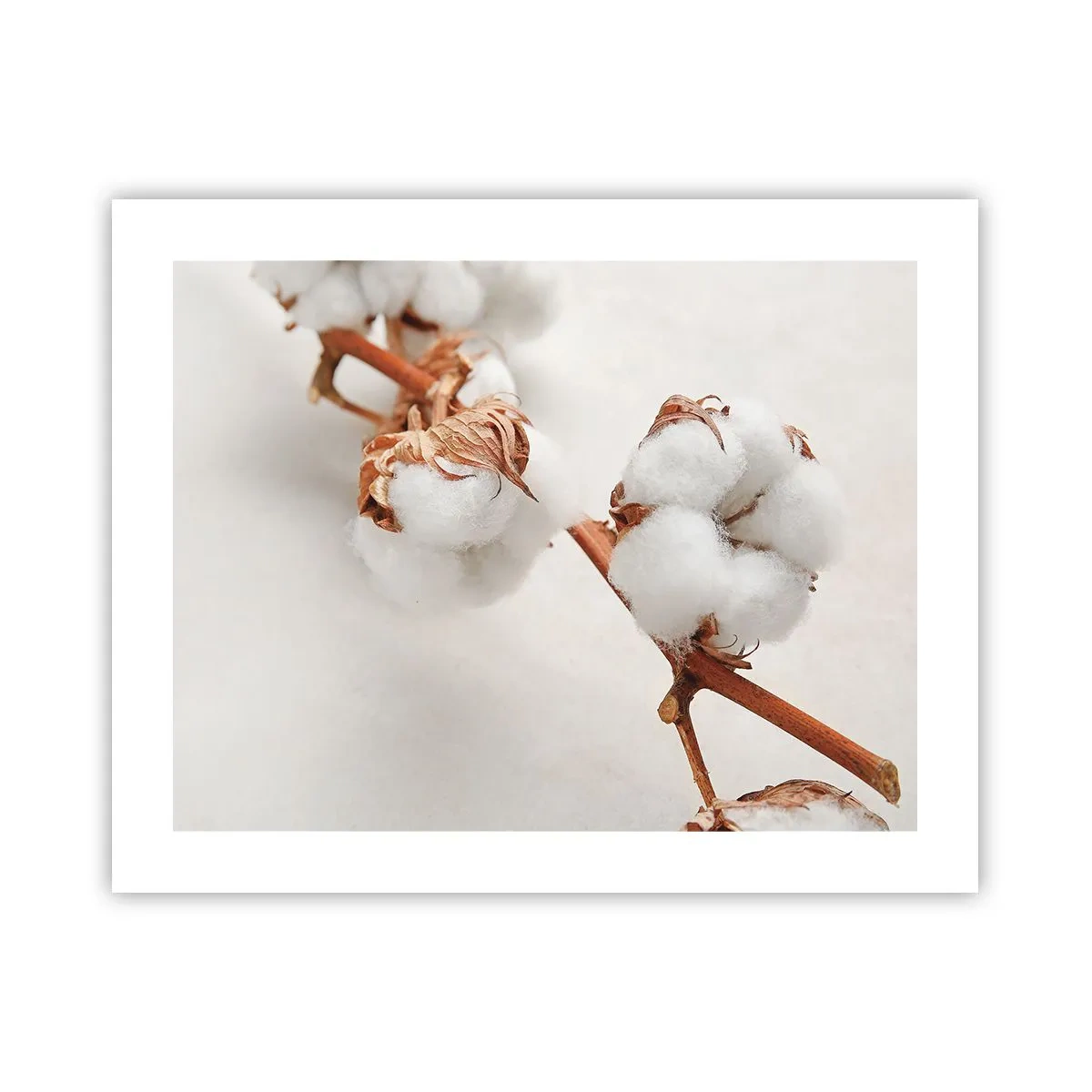 Poster - Nur umarmen - 50x40 cm