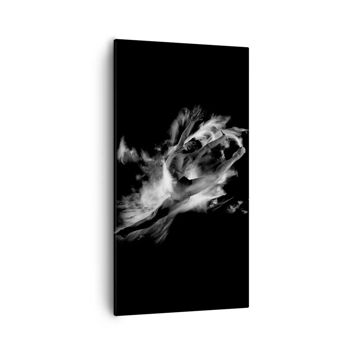 Bild auf Leinwand - Leinwandbild - Im Flug hängen geblieben - 55x100 cm