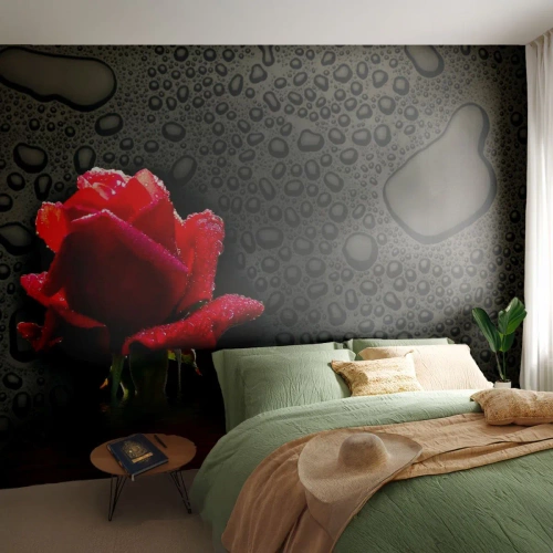Fototapete Premium Canvas - rot und Schwarz - Blumen, Rose, Wasser - 300x210 cm