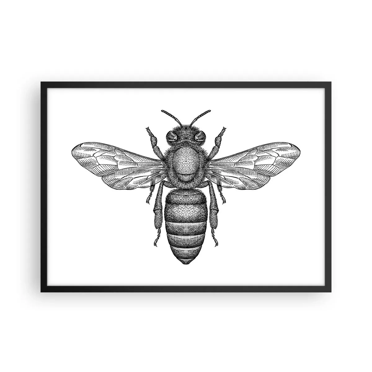 Poster in einem schwarzem Rahmen - Ein Cartoon-Bienenmotiv auf weißem Hintergrund im minimalistischen Stil. - 70x50cm - Insektenporträt - Moderne Wanddekoration für Wohnzimmer und Schlafzimmer ARTTOR