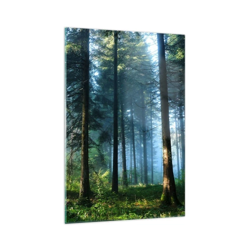 Glasbild - Bild auf glas - Ein Waldweg, beleuchtet von den Strahlen der Morgensonne - 70x100cm - Strahlend am Morgen - Moderne Wanddekoration für Wohnzimmer und Schlafzimmer ARTTOR