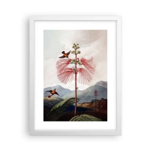 Poster in einem weißen Rahmen - In einem tropischen Paradies - 30x40 cm