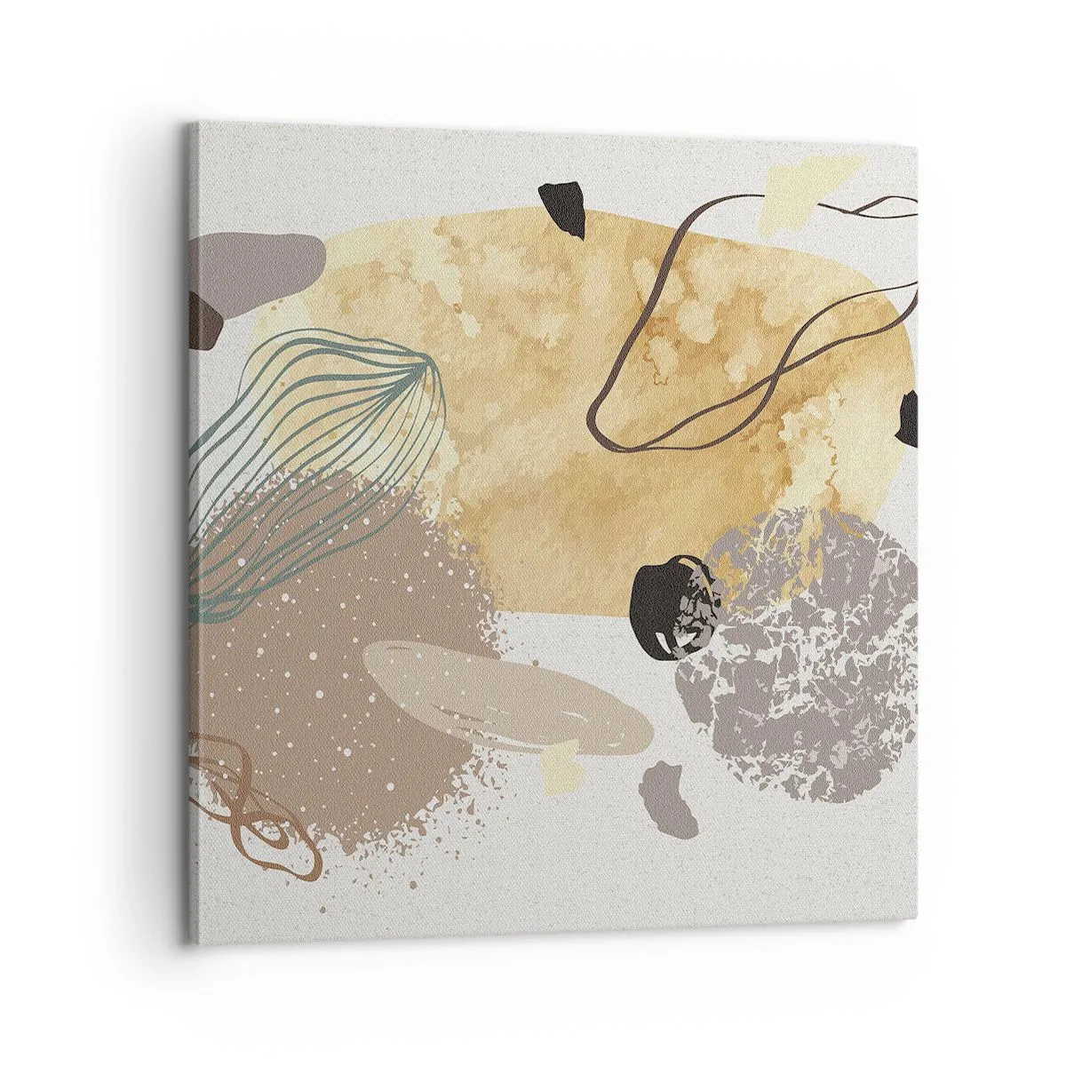 Bild auf Leinwand - Leinwandbild - Angewandte Plumkologie - 60x60 cm