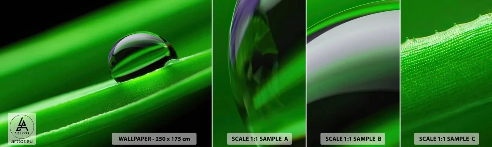 Fototapetenmuster Standard Eco - Leben hautnah - Abstraktion, Grafik, Ein Wassertropfen - 100x30 cm