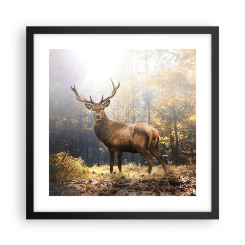 Poster in einem schwarzem Rahmen - In voller Majestät - 40x40 cm