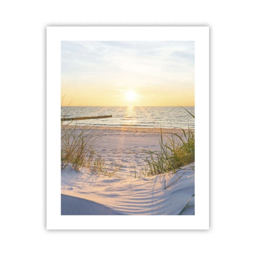 Poster - Das Rauschen des Meeres, der Gesang der Vögel, ein wilder Strand im Gras ... - 40x50 cm