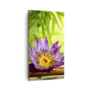 Bild auf Leinwand - Leinwandbild - In der asiatischen Sonne - 45x80 cm