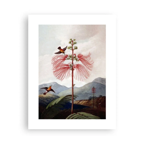 Poster - In einem tropischen Paradies - 30x40 cm