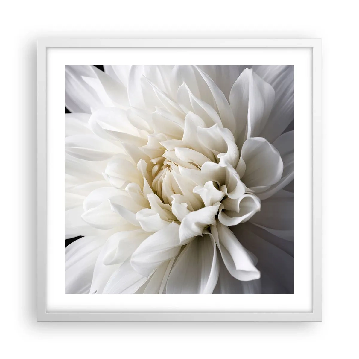 Poster in einem weißen Rahmen - Der Morgen der Braut - 50x50 cm