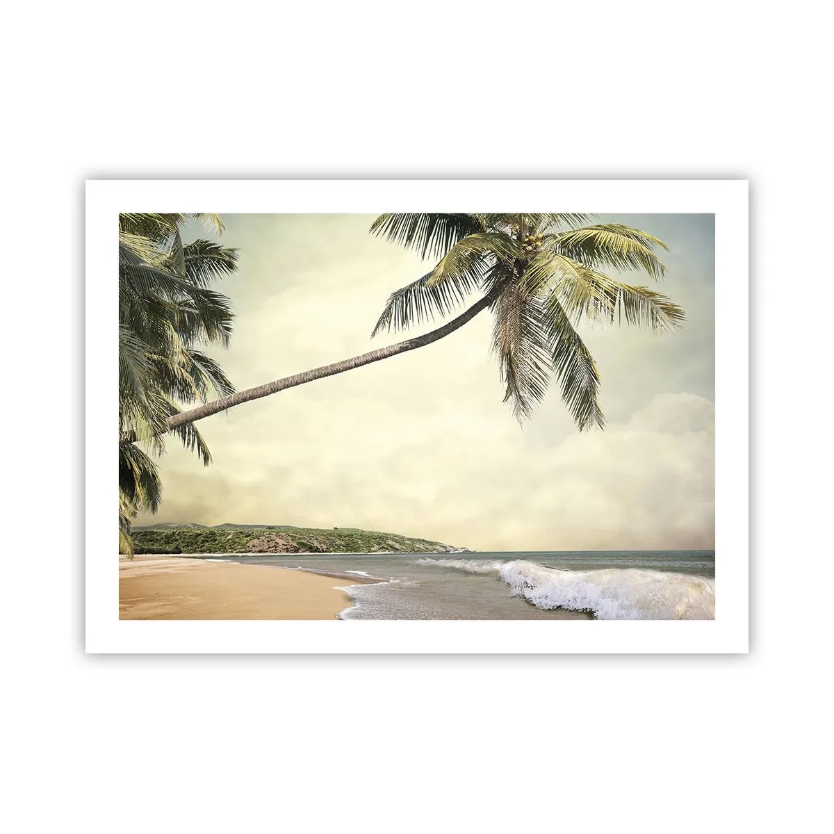Poster - Tropischer Traum - 70x50 cm