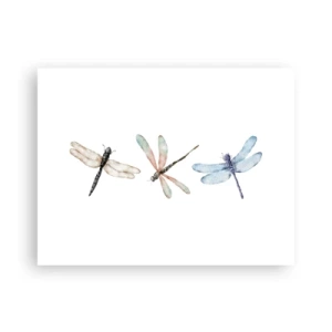 Poster - Schwerelose Libellen - 40x30 cm