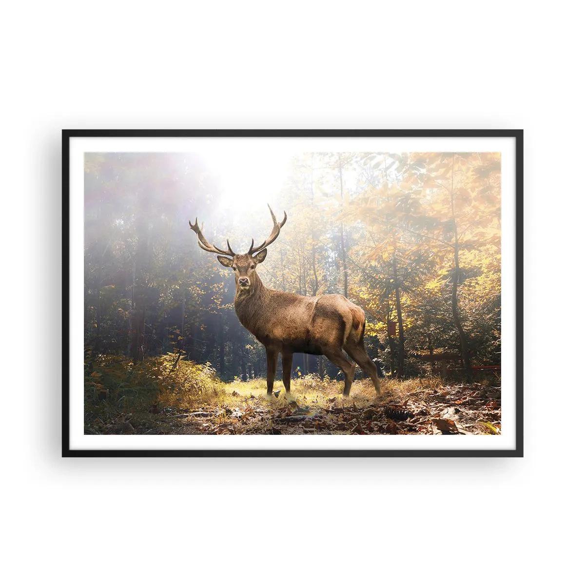 Poster in einem schwarzem Rahmen - Hirsch im herbstlichen Wald mit Sonnenstrahlen - 100x70cm - In voller Majestät - Moderne Wanddekoration für Wohnzimmer und Schlafzimmer ARTTOR