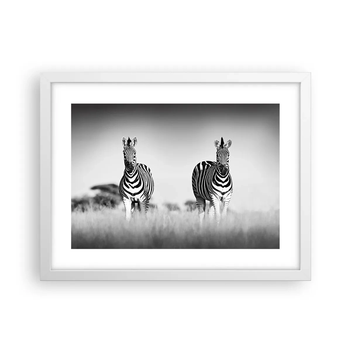 Poster in einem weißen Rahmen - Die Welt ist doch schwarz-weiß - 40x30 cm
