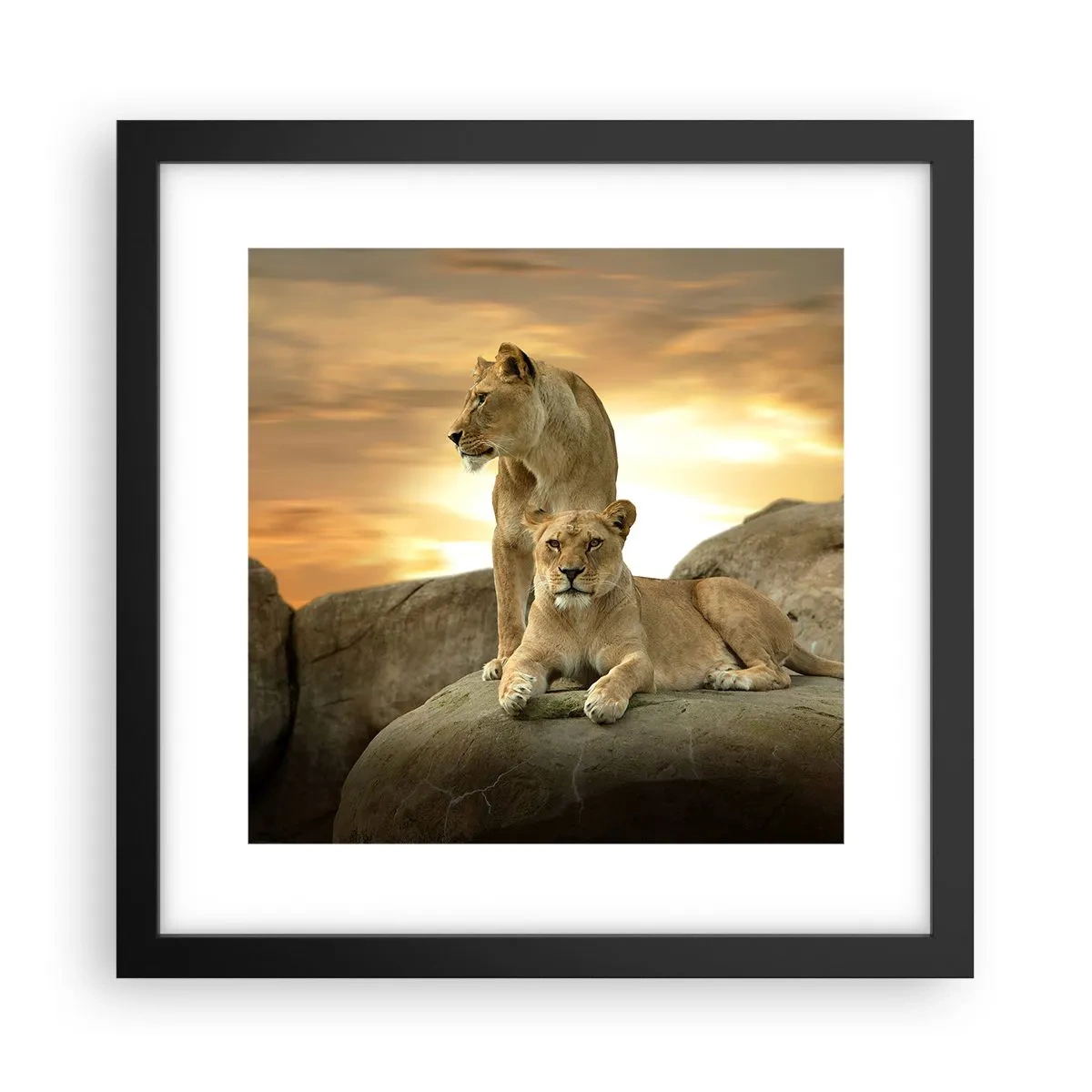 Poster in einem schwarzem Rahmen - Königliche Majestät - 30x30 cm