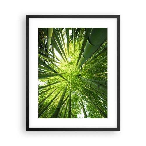 Poster in einem schwarzem Rahmen - In einem Bambushain - 40x50 cm