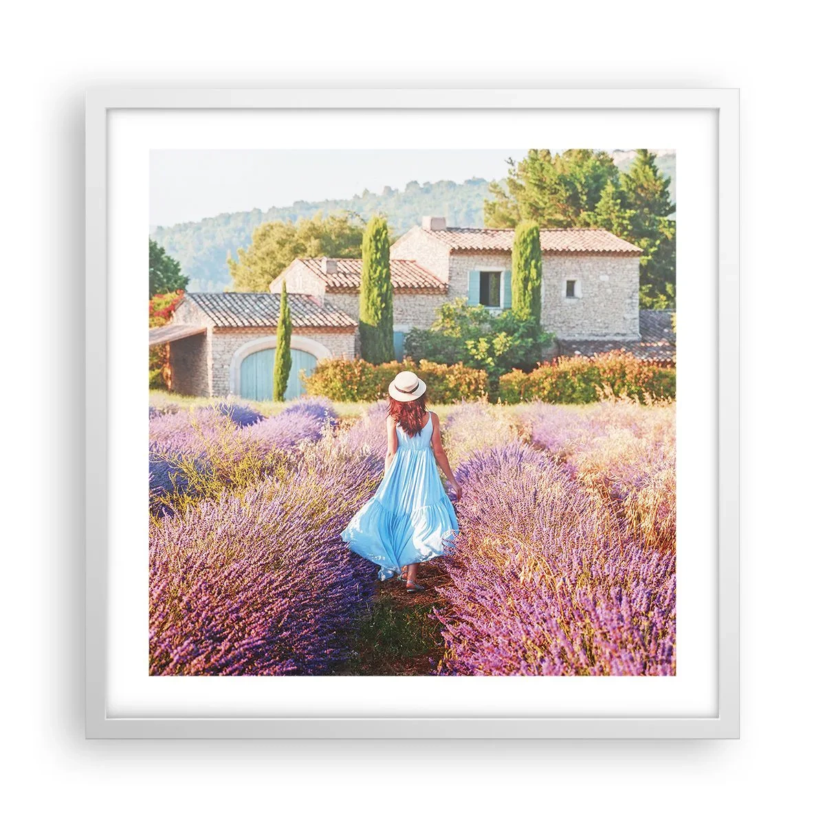Poster in einem weißen Rahmen - Lavendel Mädchen - 50x50 cm