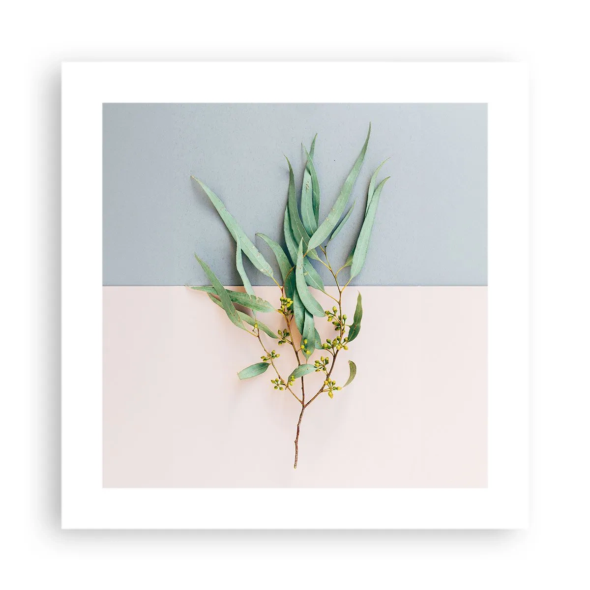 Poster - Pastellige Subtilität - 40x40 cm