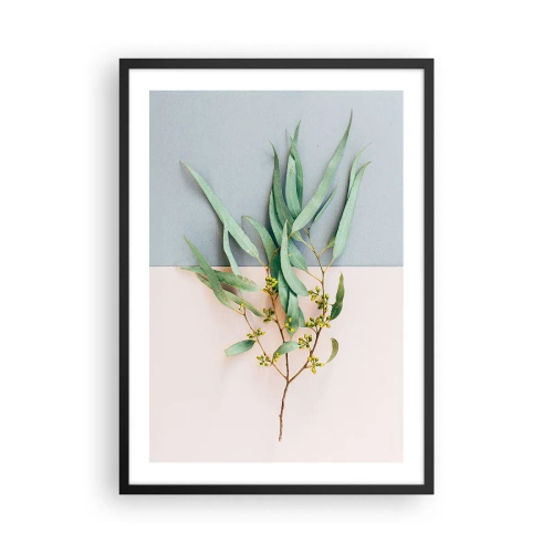 Poster in einem schwarzem Rahmen - Ein Zweig Eukalyptus auf pastellfarbenem Hintergrund - 50x70cm - Pastellige Subtilität - Moderne Wanddekoration für Wohnzimmer und Schlafzimmer ARTTOR