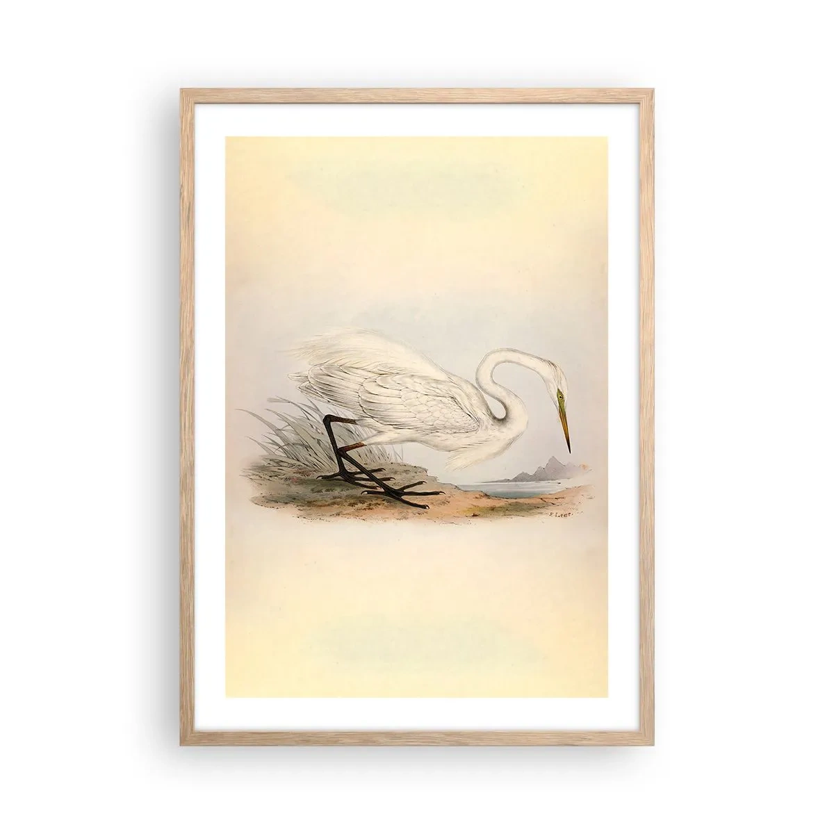 Poster in einem Rahmen aus heller Eiche - Dame auf den Binsen - 50x70 cm