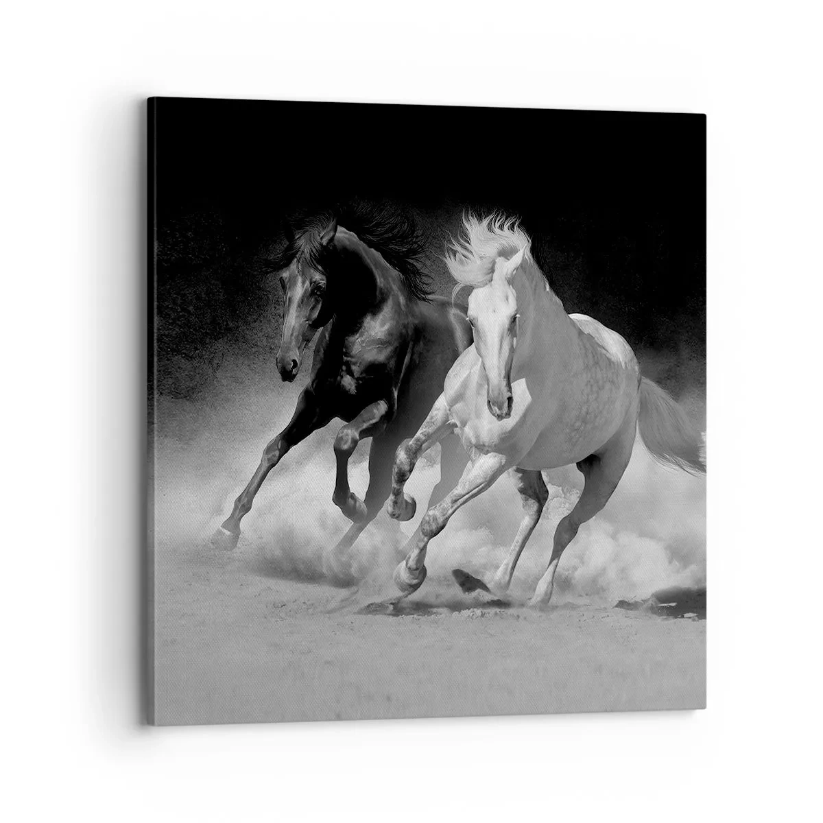 Bild auf Leinwand - Leinwandbild - Galopp der Freiheit - 70x70 cm