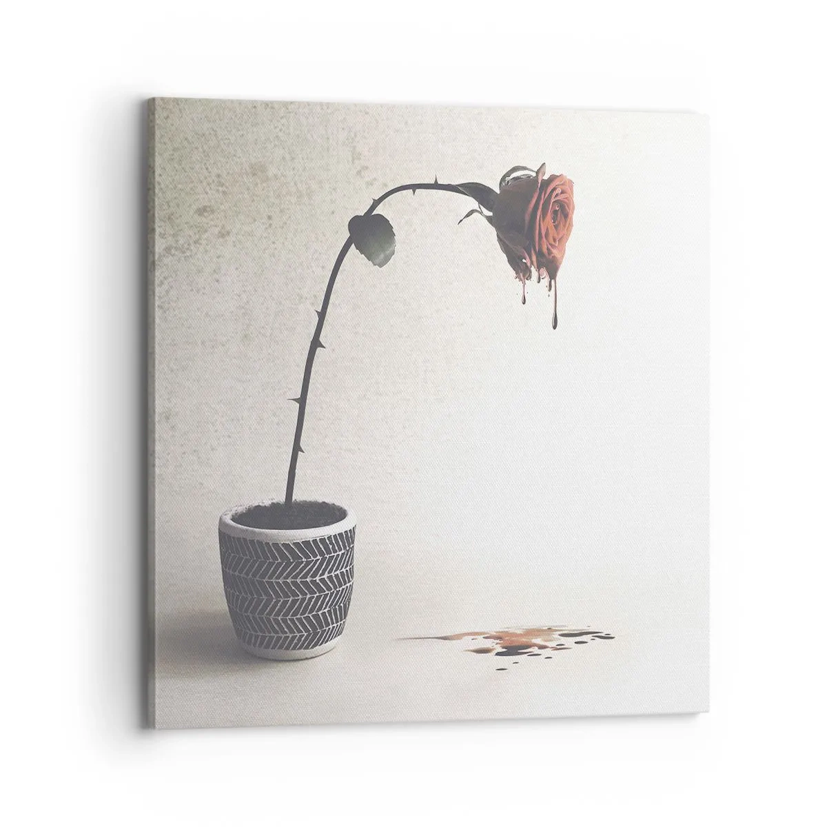 Bild auf Leinwand - Leinwandbild - Rosa dolorosa - 70x70 cm