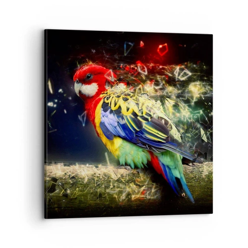 Bild auf Leinwand - Leinwandbild - Botschafter des Strahlens - 70x70 cm