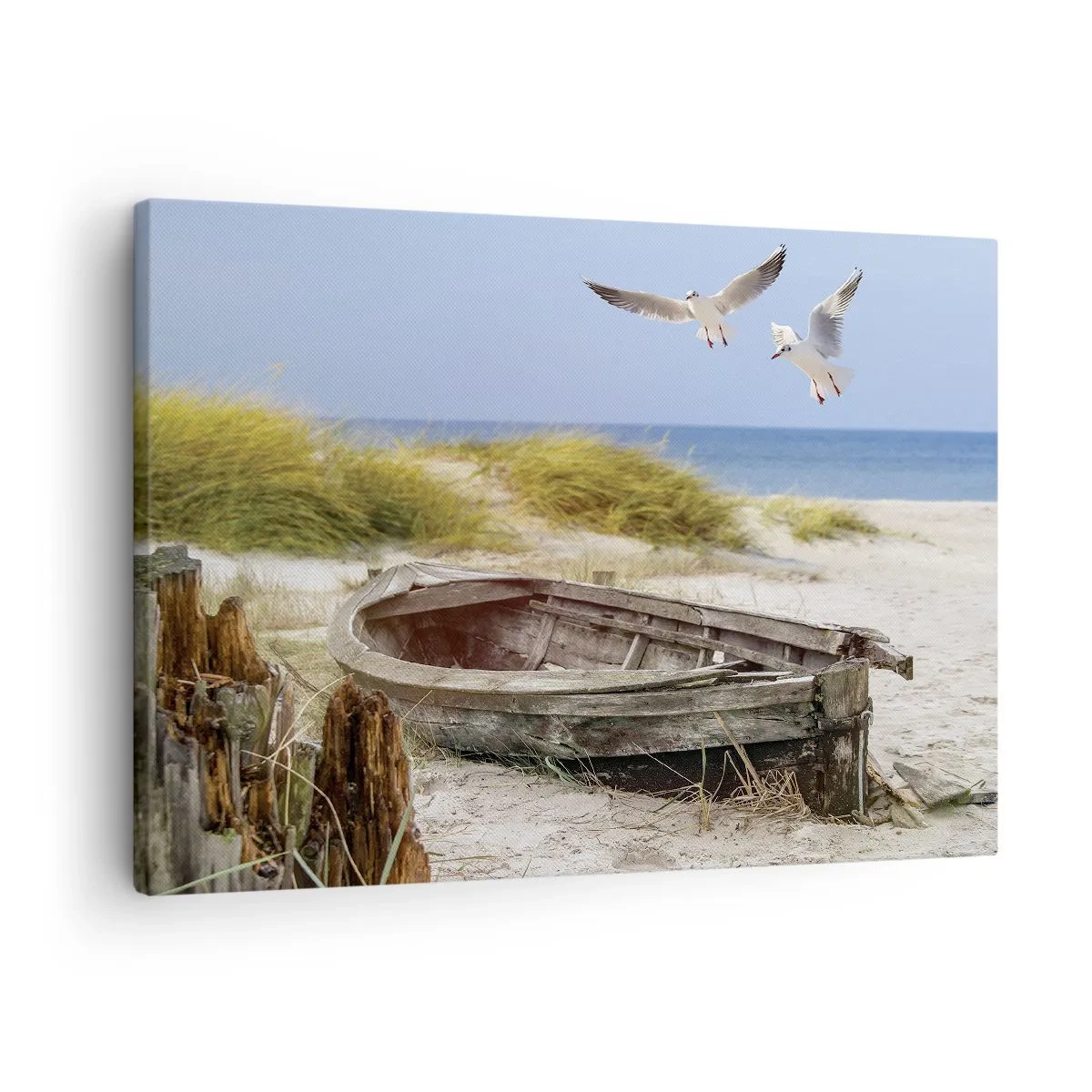 Bild auf Leinwand - Leinwandbild - Verlassenes Boot an einem Strand mit Möwen - 70x50cm - In Wind gebadet - Moderne Wanddekoration für Wohnzimmer und Schlafzimmer ARTTOR