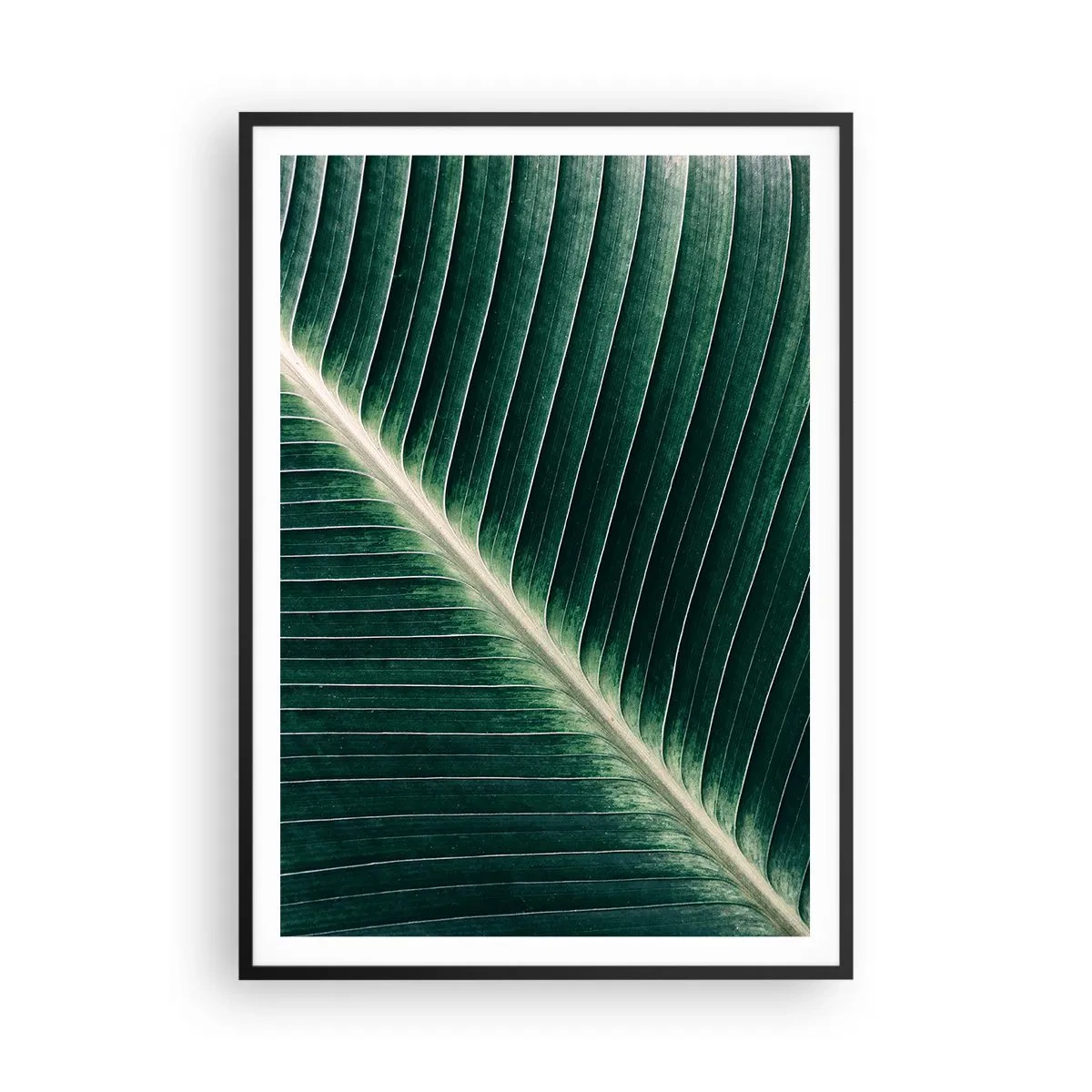 Poster in einem schwarzem Rahmen - Rhythmus der Natur - 70x100 cm