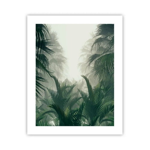 Poster - Tropisches Geheimnis - 40x50 cm