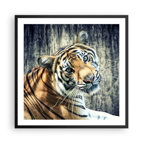 Poster in einem schwarzem Rahmen - Portrait in Lichtstrahlen - 60x60 cm