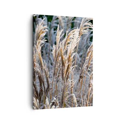 Bild auf Leinwand - Leinwandbild - Winterliche Grashalme mit Frost bedeckt vor einem dunkelgrünen Hintergrund - 50x70cm - Gekleidet mit Frost - Moderne Wanddekoration für Wohnzimmer und Schlafzimmer ARTTOR