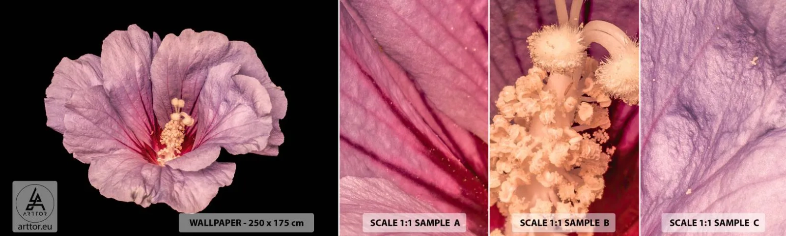 Fototapeten Muster Selbstklebend Deluxe Sticker - Direkt ins Herz - Blume, Stück, Grafik - 100x30 cm