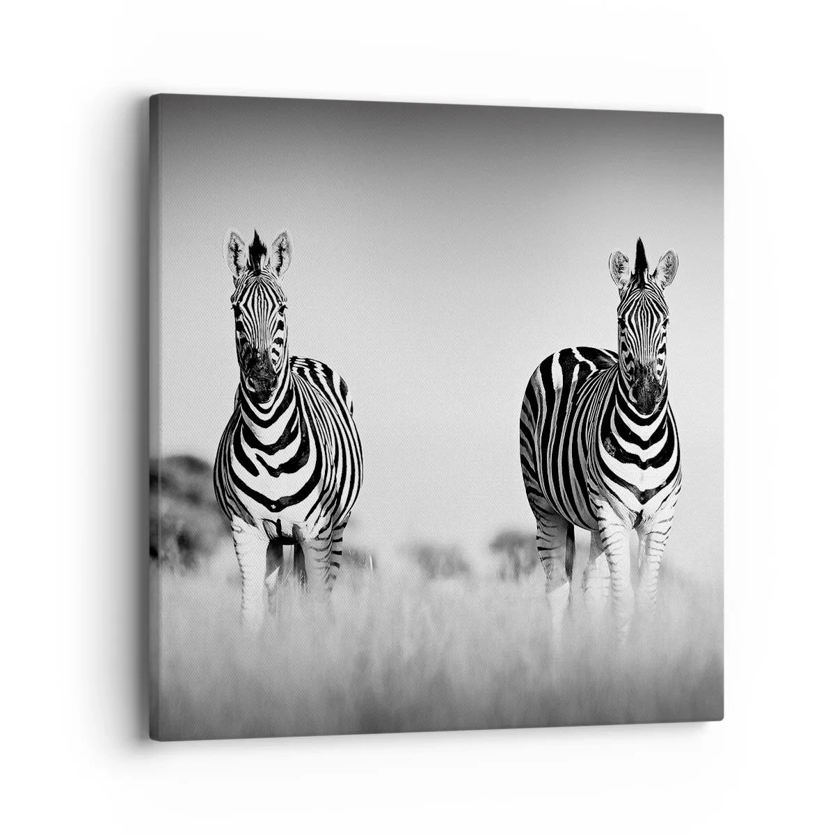 Bild auf Leinwand - Leinwandbild - Die Welt ist doch schwarz-weiß - 40x40 cm