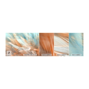 Fototapeten Muster Selbstklebend Deluxe Sticker - Im Land der Sanftmut - Empfindlich, Gefieder, Minimalismus - 100x30 cm
