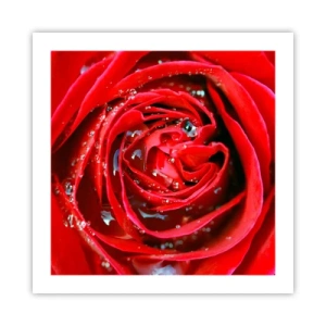 Poster - In den Tautropfen - 50x50 cm