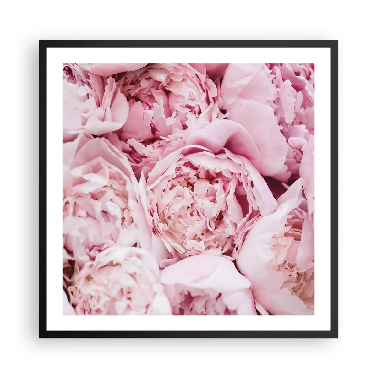 Poster in einem schwarzem Rahmen - Anschmiegsam und duftend - 60x60 cm