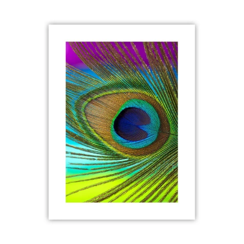 Poster - Auge in Auge - 30x40 cm
