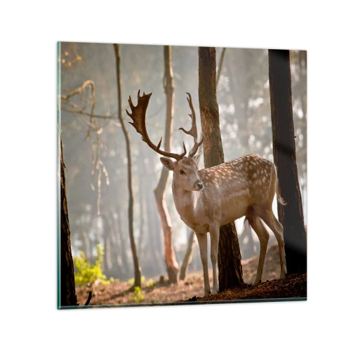 Glasbild - Bild auf glas - Das Licht der Jugend - 70x70 cm