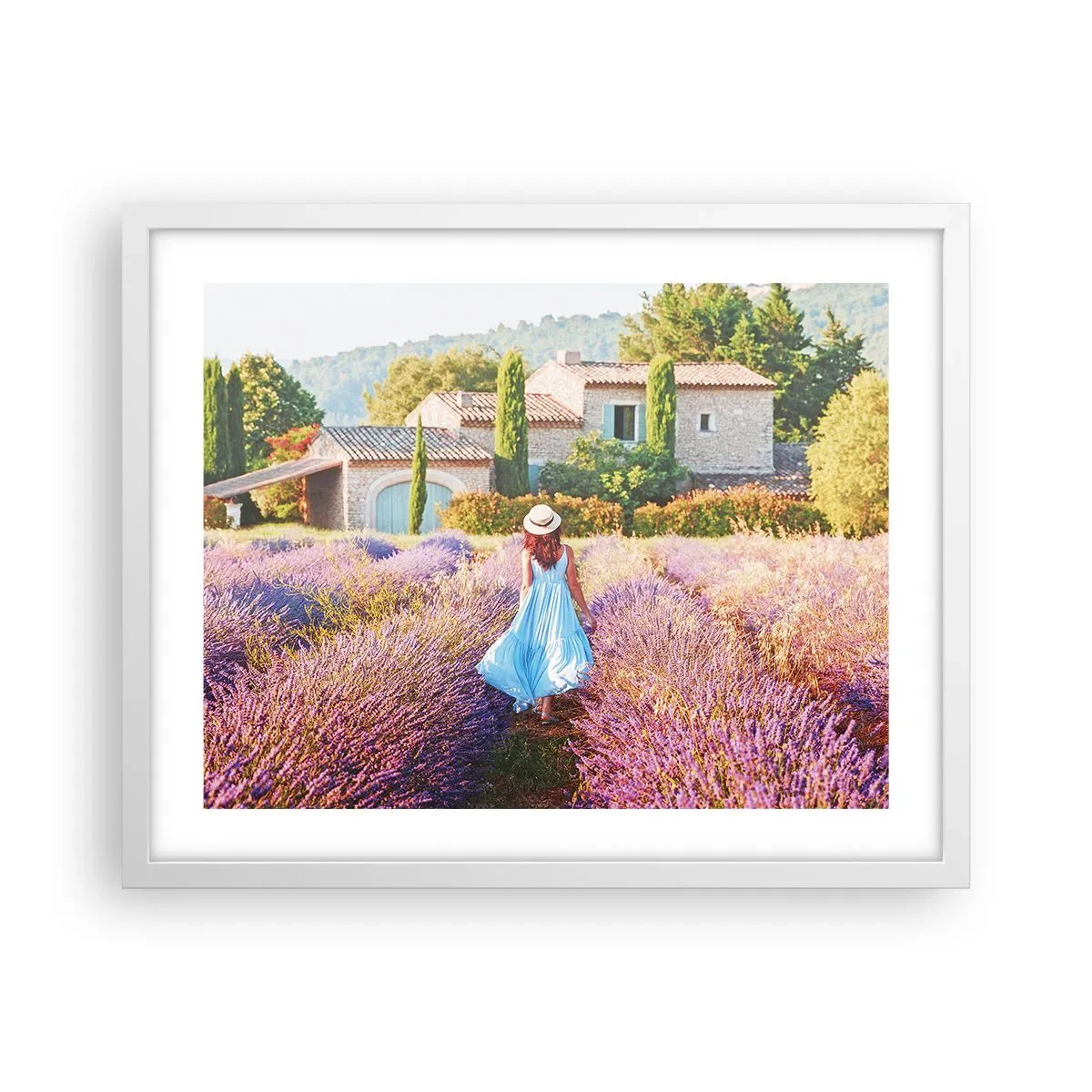 Poster in einem weißen Rahmen - Lavendel Mädchen - 50x40 cm