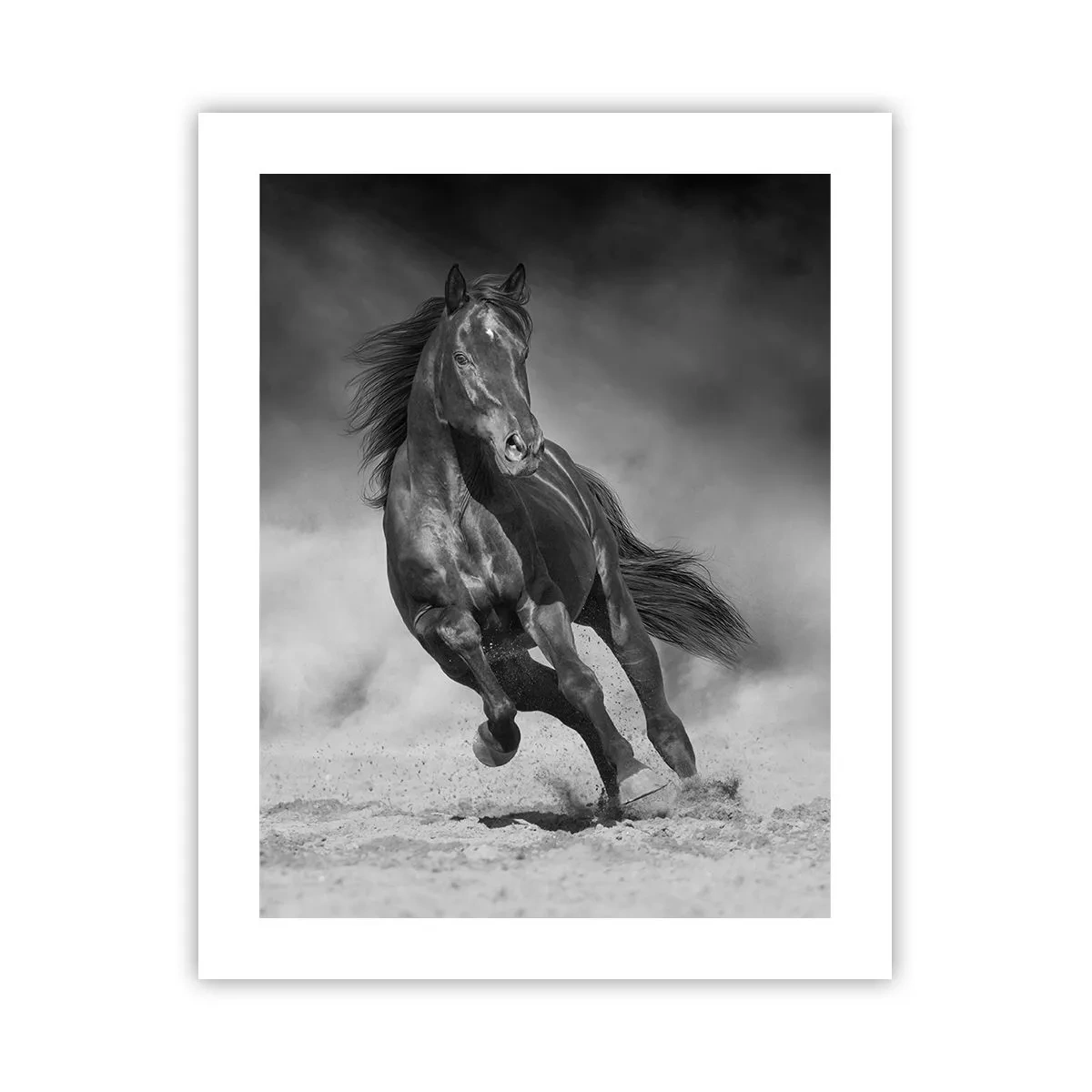 Poster - Würdig des Emirs selbst - 40x50 cm