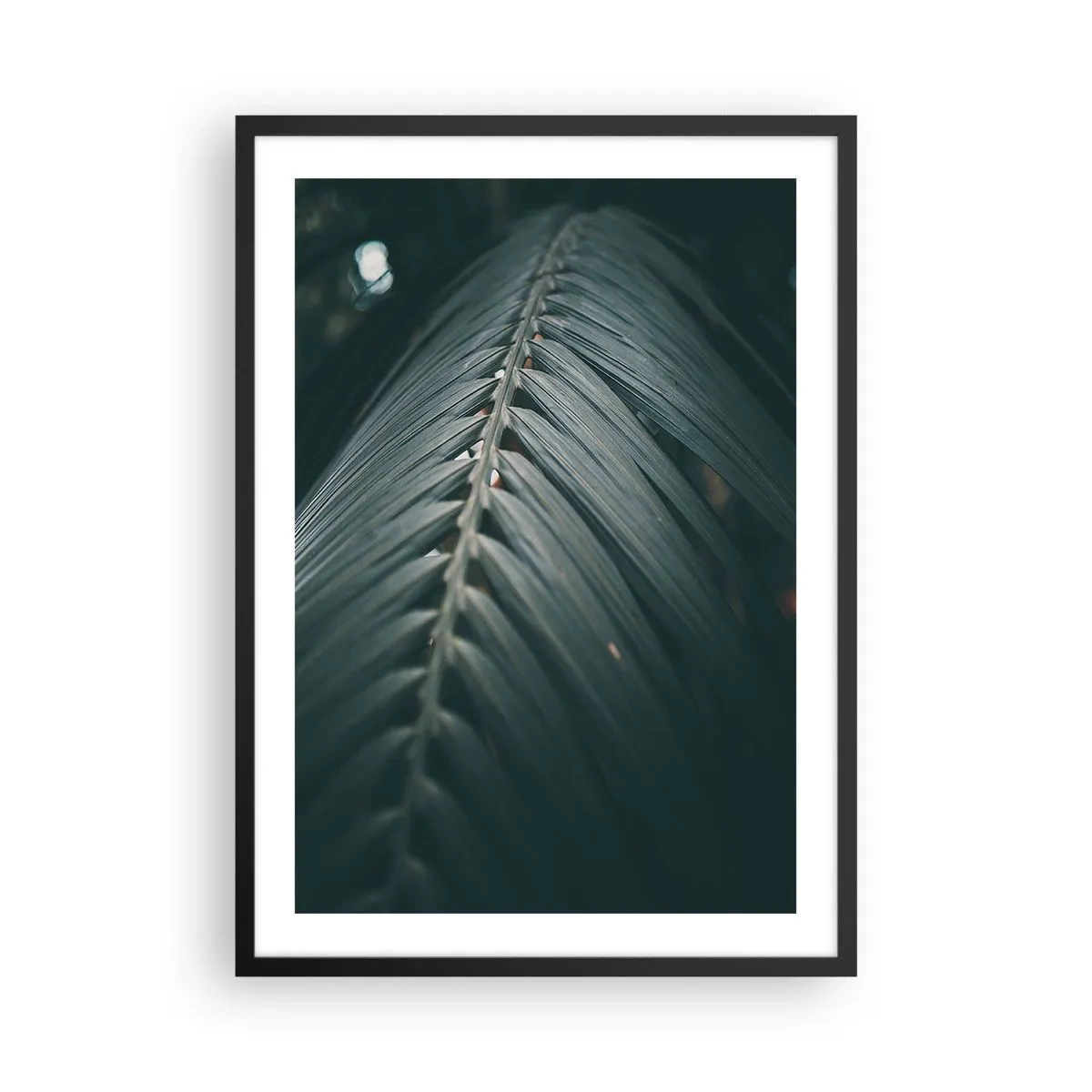 Poster in einem schwarzem Rahmen - Ein Palmblatt in dunklem Ton mit sanfter Beleuchtung - 50x70cm - Die Präzision der Natur - Moderne Wanddekoration für Wohnzimmer und Schlafzimmer ARTTOR