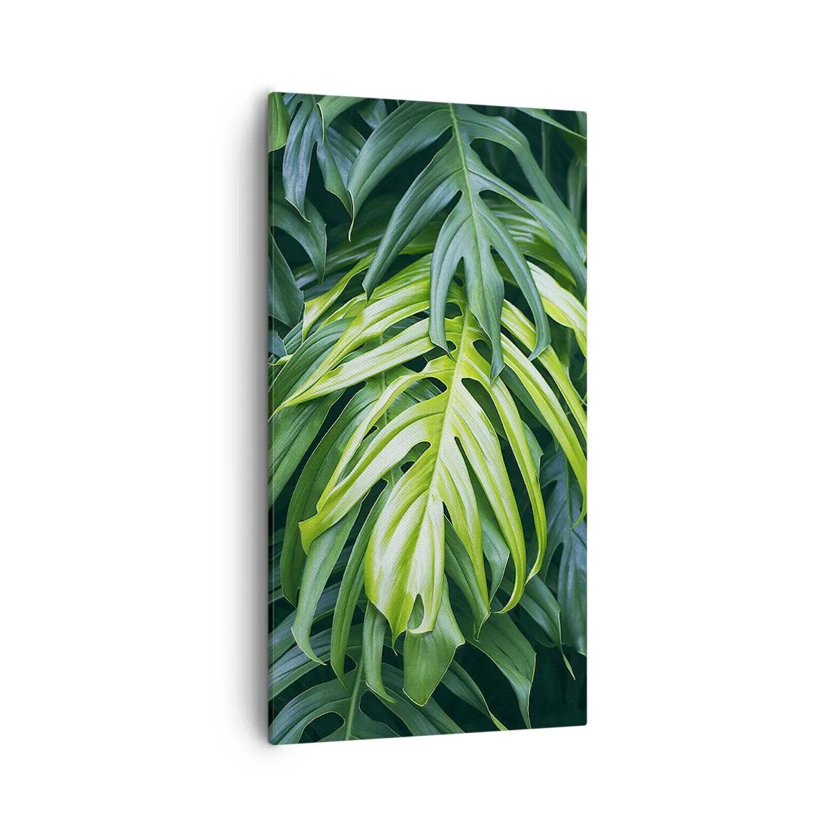 Bild auf Leinwand - Leinwandbild - Tauchen Sie ein in die Frische - 55x100 cm